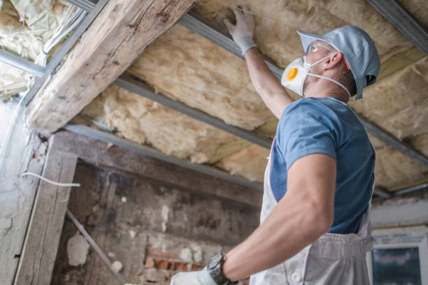 Best Types of Insulation in Morris, IL